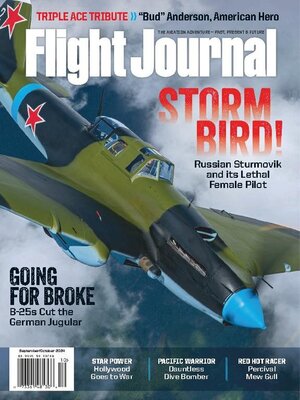 cover image of Flight Journal